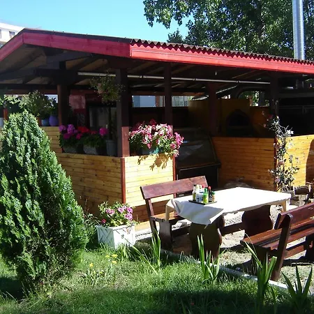 Viva * Sunny Beach